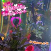 ヒメ日記 2025/02/20 05:09 投稿 菜々緒 モアグループ春日部人妻城