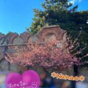 ヒメ日記 2025/03/01 10:04 投稿 菜々緒 モアグループ春日部人妻城