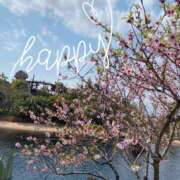 ヒメ日記 2025/04/12 09:33 投稿 菜々緒 モアグループ春日部人妻城