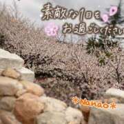 ヒメ日記 2025/04/14 10:03 投稿 菜々緒 モアグループ春日部人妻城