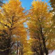 ヒメ日記 2025/11/24 21:33 投稿 菜々緒 モアグループ春日部人妻城