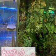 ヒメ日記 2026/02/14 10:48 投稿 菜々緒 モアグループ春日部人妻城