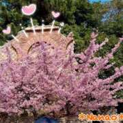 ヒメ日記 2026/03/24 11:57 投稿 菜々緒 モアグループ春日部人妻城