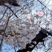 ヒメ日記 2026/03/27 15:03 投稿 菜々緒 モアグループ春日部人妻城