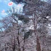 ヒメ日記 2026/03/29 10:48 投稿 菜々緒 モアグループ春日部人妻城