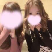 ヒメ日記 2024/12/19 10:03 投稿 みらい アラモード