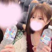 ヒメ日記 2025/02/14 12:03 投稿 みらい アラモード