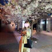 ヒメ日記 2025/04/21 10:02 投稿 みらい アラモード