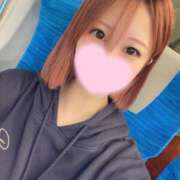 ヒメ日記 2025/11/17 09:01 投稿 みらい アラモード