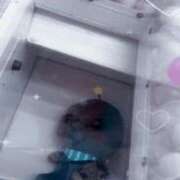 ヒメ日記 2025/10/12 21:46 投稿 しなもん 秒即DE舐めてミント池袋店