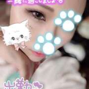 ヒメ日記 2026/01/31 16:30 投稿 みつり 横浜 風俗 妻がオンナに変わるとき