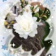 ヒメ日記 2025/01/07 16:25 投稿 樋口瑞希 こあくまな熟女たち 静岡店（KOAKUMAグループ）