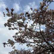 ヒメ日記 2025/04/15 13:34 投稿 樋口瑞希 こあくまな熟女たち 静岡店（KOAKUMAグループ）