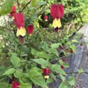 ヒメ日記 2025/05/16 13:23 投稿 樋口瑞希 こあくまな熟女たち 静岡店（KOAKUMAグループ）