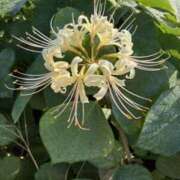 ヒメ日記 2025/10/06 14:10 投稿 樋口瑞希 こあくまな熟女たち 静岡店（KOAKUMAグループ）