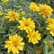 ヒメ日記 2025/10/28 13:23 投稿 樋口瑞希 こあくまな熟女たち 静岡店（KOAKUMAグループ）