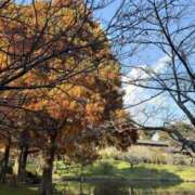 ヒメ日記 2025/11/28 13:39 投稿 樋口瑞希 こあくまな熟女たち 静岡店（KOAKUMAグループ）