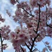 ヒメ日記 2026/02/24 14:31 投稿 樋口瑞希 こあくまな熟女たち 静岡店（KOAKUMAグループ）