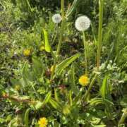 ヒメ日記 2026/03/27 13:44 投稿 樋口瑞希 こあくまな熟女たち 静岡店（KOAKUMAグループ）