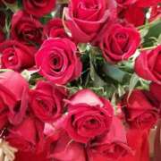 ヒメ日記 2025/01/02 20:49 投稿 りょうこ 熟女総本店 堺東店