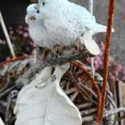 ヒメ日記 2025/02/06 10:39 投稿 りょうこ 熟女総本店 堺東店