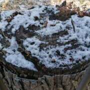 ヒメ日記 2025/02/20 08:09 投稿 りょうこ 熟女総本店 堺東店