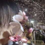 ヒメ日記 2025/04/02 11:19 投稿 りょうこ 熟女総本店 堺東店