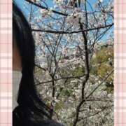 ヒメ日記 2025/04/06 15:59 投稿 りょうこ 熟女総本店 堺東店