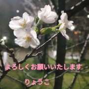 ヒメ日記 2025/04/07 22:49 投稿 りょうこ 熟女総本店 堺東店