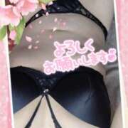 ヒメ日記 2025/04/09 03:29 投稿 りょうこ 熟女総本店 堺東店