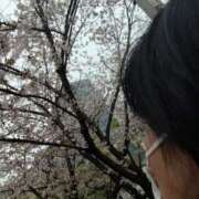 ヒメ日記 2025/04/10 16:29 投稿 りょうこ 熟女総本店 堺東店