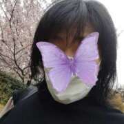 ヒメ日記 2025/04/23 13:29 投稿 りょうこ 熟女総本店 堺東店