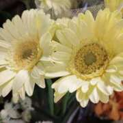 ヒメ日記 2025/05/15 10:59 投稿 りょうこ 熟女総本店 堺東店