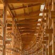 ヒメ日記 2025/08/22 08:19 投稿 りょうこ 熟女総本店 堺東店