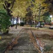 ヒメ日記 2025/11/26 03:59 投稿 りょうこ 熟女総本店 堺東店