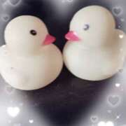 ヒメ日記 2026/03/17 02:29 投稿 りょうこ 熟女総本店 堺東店