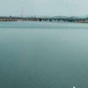 ヒメ日記 2026/03/17 11:19 投稿 りょうこ 熟女総本店 堺東店