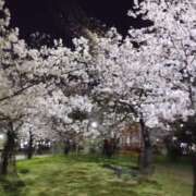 ヒメ日記 2026/04/03 05:39 投稿 りょうこ 熟女総本店 堺東店