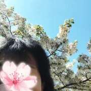 ヒメ日記 2026/04/08 11:39 投稿 りょうこ 熟女総本店 堺東店