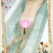 ヒメ日記 2026/04/16 18:29 投稿 りょうこ 熟女総本店 堺東店