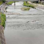 ヒメ日記 2026/04/19 17:49 投稿 りょうこ 熟女総本店 堺東店