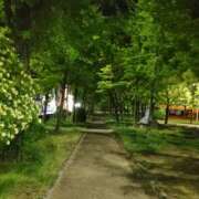 ヒメ日記 2026/10/04 05:49 投稿 りょうこ 熟女総本店 堺東店
