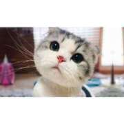 ヒメ日記 2025/08/04 15:28 投稿 青木はる まつど回春エステ