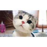 ヒメ日記 2025/09/08 09:06 投稿 青木はる まつど回春エステ