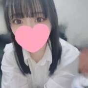 ヒメ日記 2025/05/09 17:26 投稿 しずく はちみつ