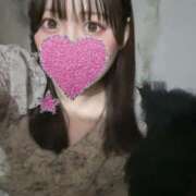 ヒメ日記 2025/07/04 04:25 投稿 しずく はちみつ