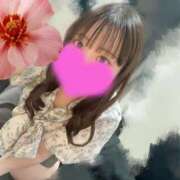 ヒメ日記 2025/08/01 14:01 投稿 しずく はちみつ