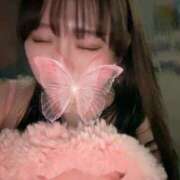 ヒメ日記 2025/10/01 04:58 投稿 しずく はちみつ