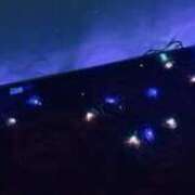 しずく すみません！！ はちみつ