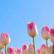 ヒメ日記 2025/01/14 18:53 投稿 きょうこ 待ちナビ